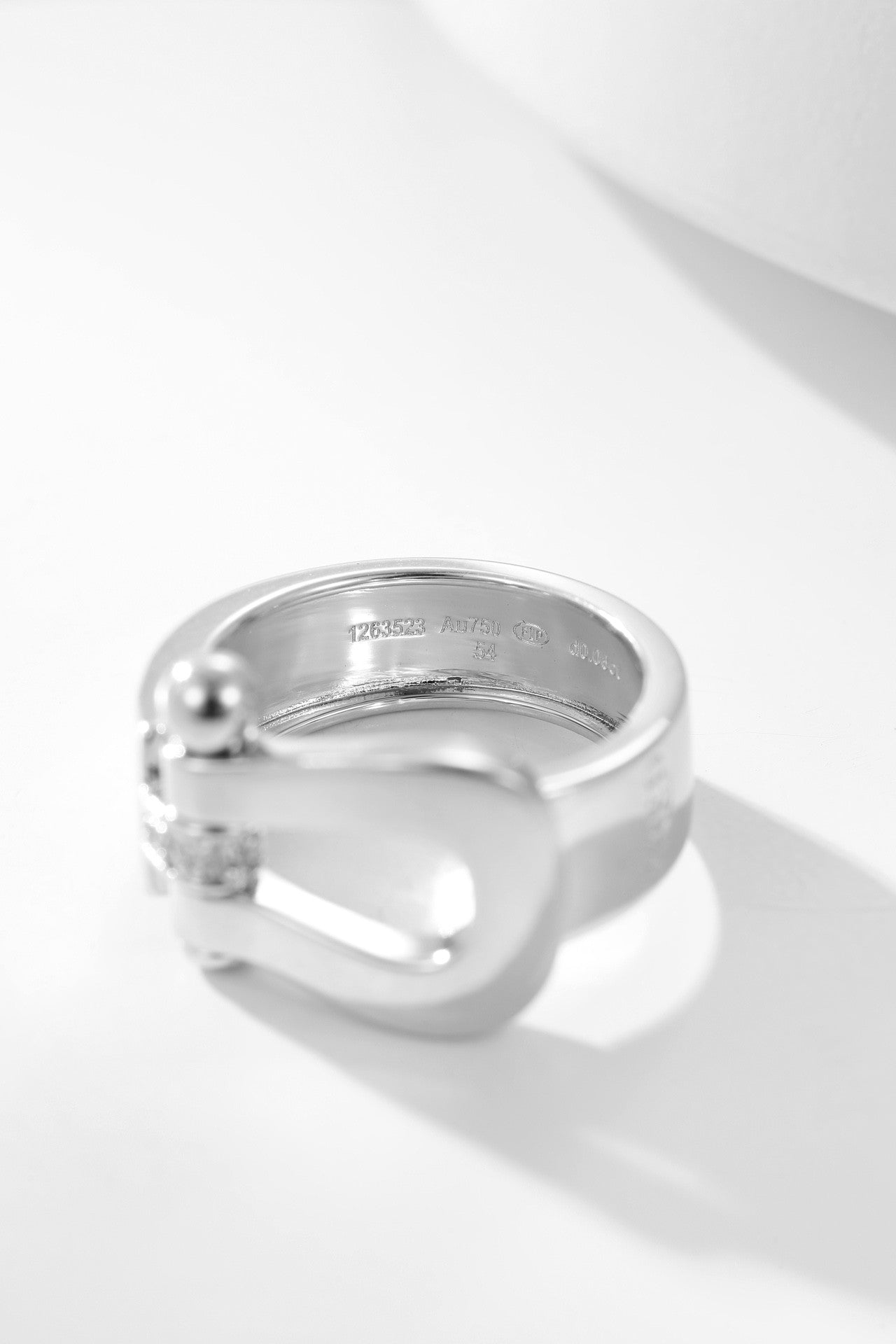 Classic and stylish horseshoe buckle ring